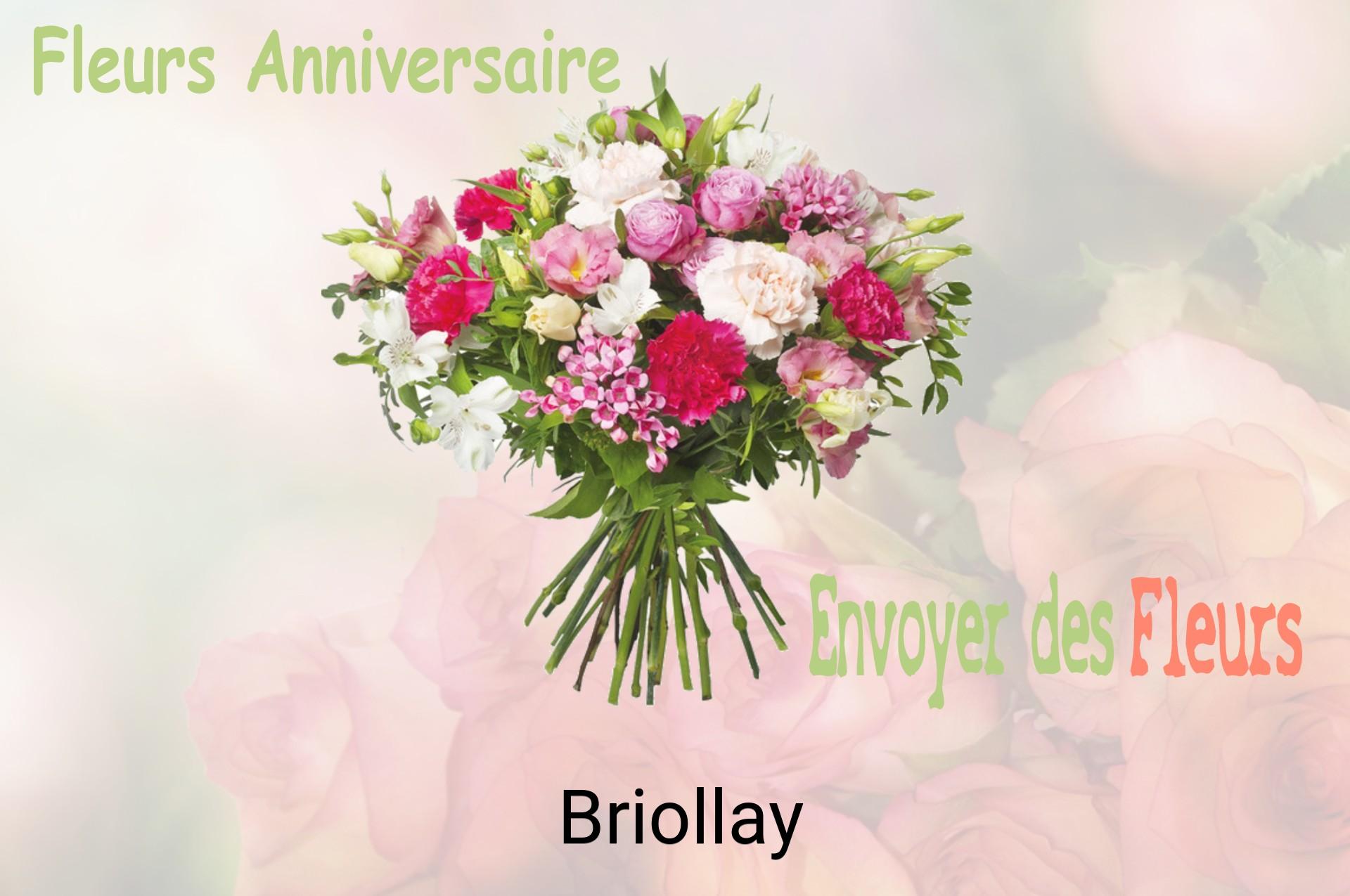 Bouquet de fleurs d’anniversaire livré à Briollay