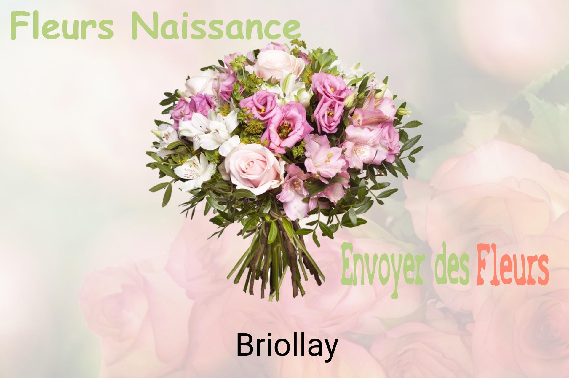 Bouquet de fleurs de naissance livré à Briollay