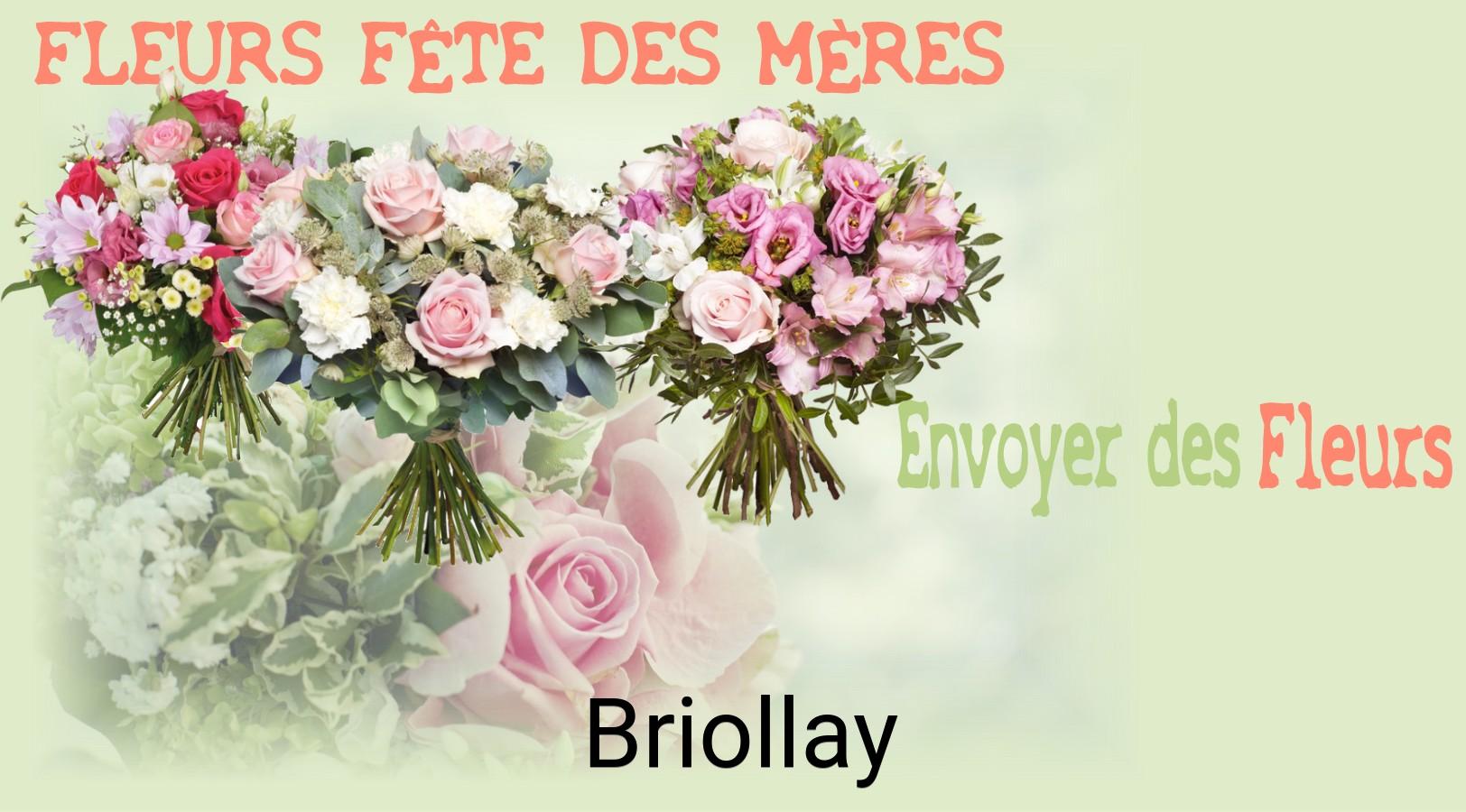 Bouquet de Fête des Mères livré à Briollay